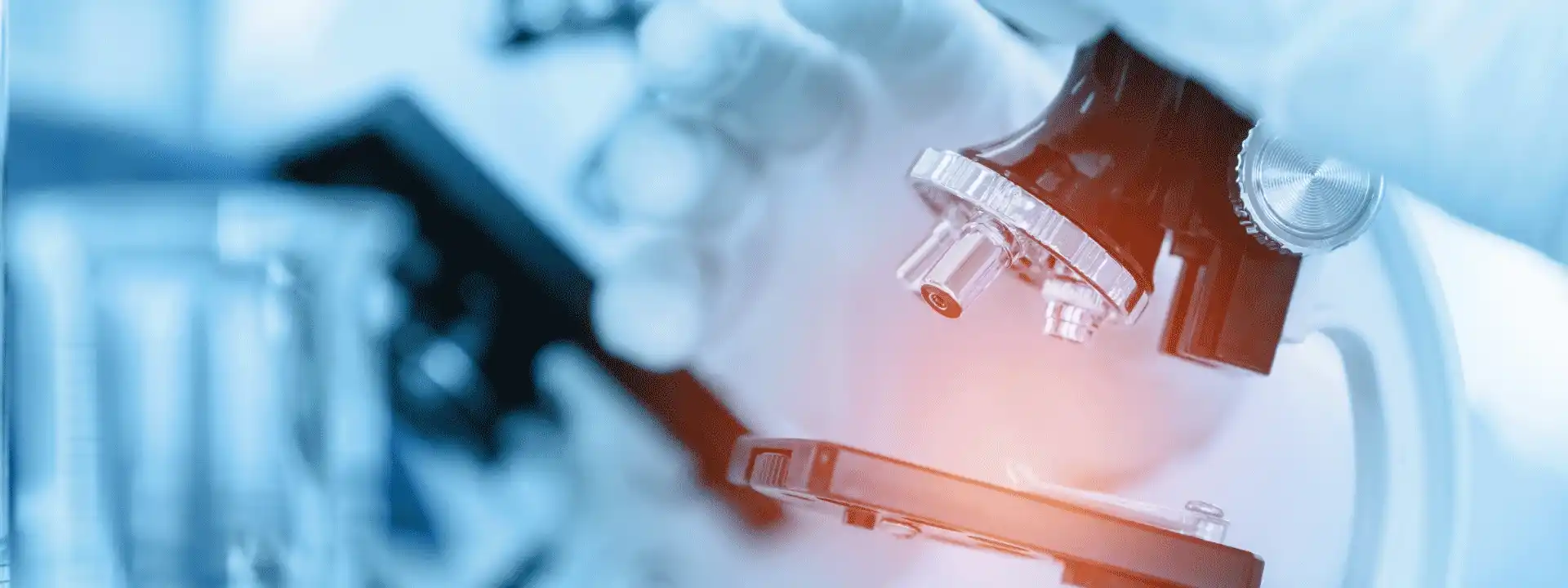 Exames Anatomopatológicos